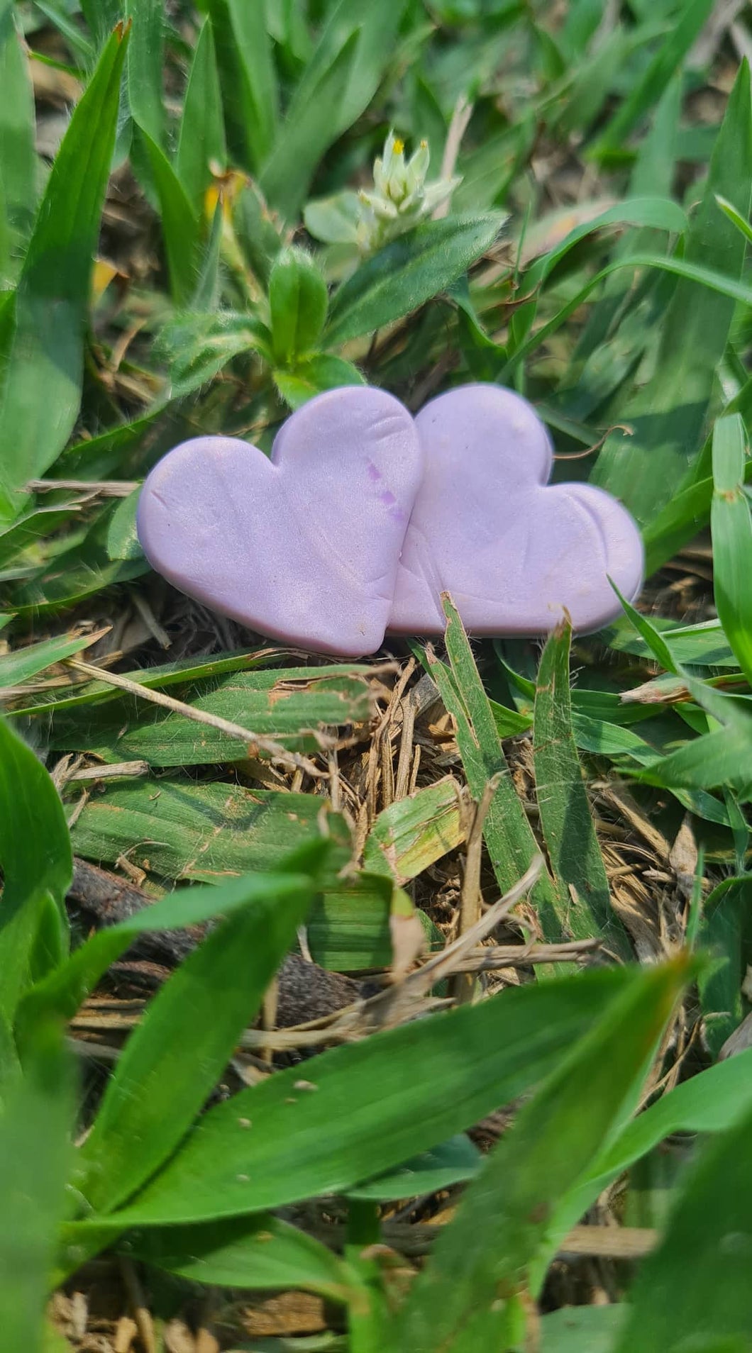 purple/shine heart studs